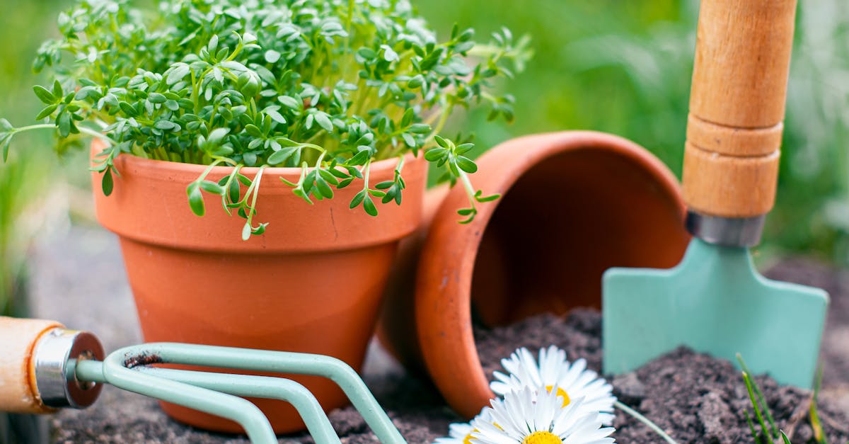 découvrez des solutions écoresponsables pour un mode de vie durable. adoptez des pratiques respectueuses de l'environnement, réduisez votre empreinte carbone et participez à la préservation de notre planète avec des produits et des conseils éco-friendly.