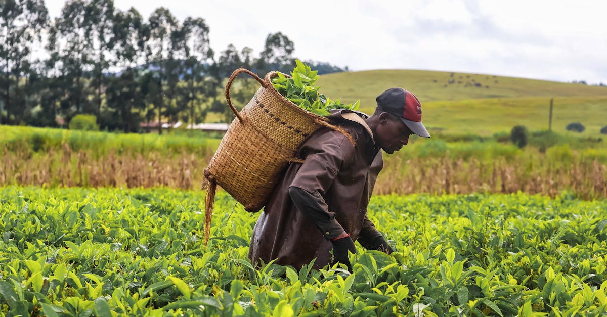 découvrez nos solutions éco-responsables : des produits respectueux de l'environnement qui allient durabilité et efficacité. adoptez un mode de vie plus vert et participez à la protection de notre planète avec des choix éthiques.