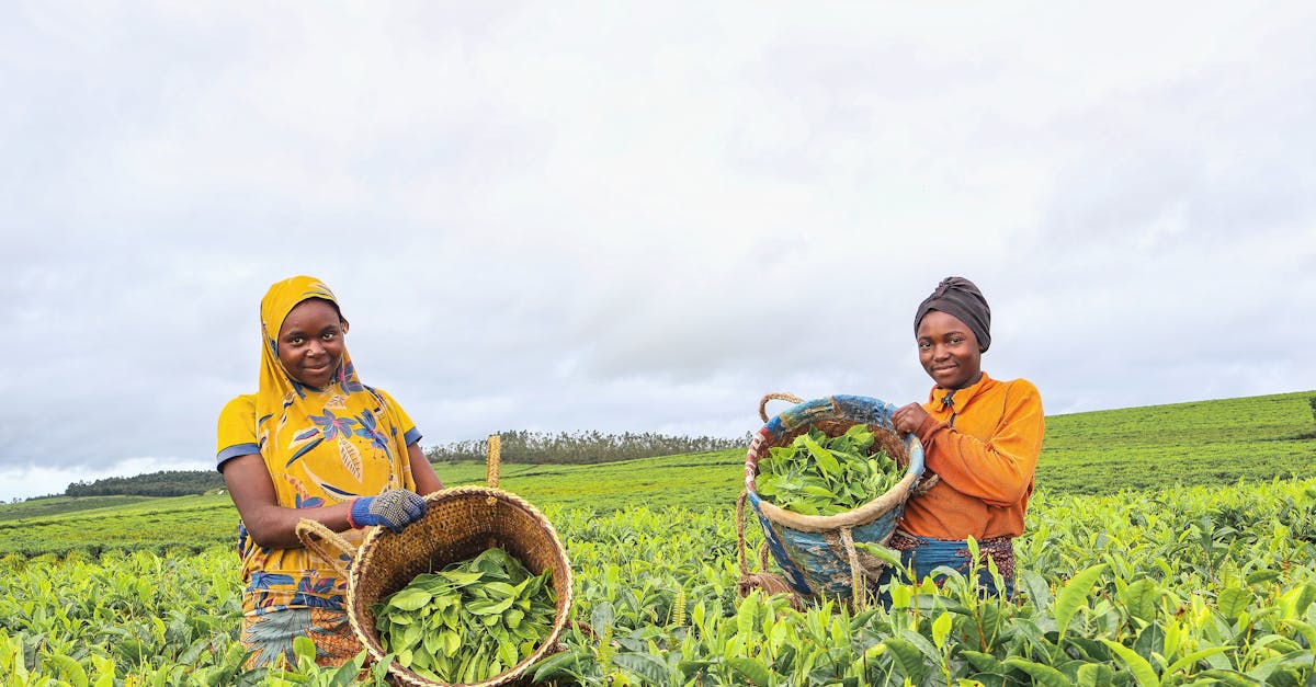 découvrez des solutions éco-responsables et durables pour un mode de vie respectueux de l'environnement. adoptez des choix écologiques pour préserver notre planète tout en vivant confortablement.