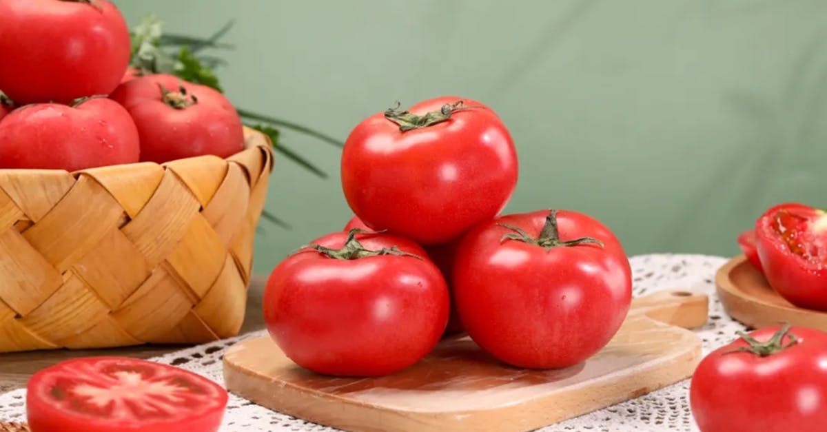 découvrez des apéritifs écoresponsables qui allient saveurs et respect de l'environnement. idéaux pour vos soirées, ces recettes saines et délicieuses séduiront vos invités tout en préservant la planète.