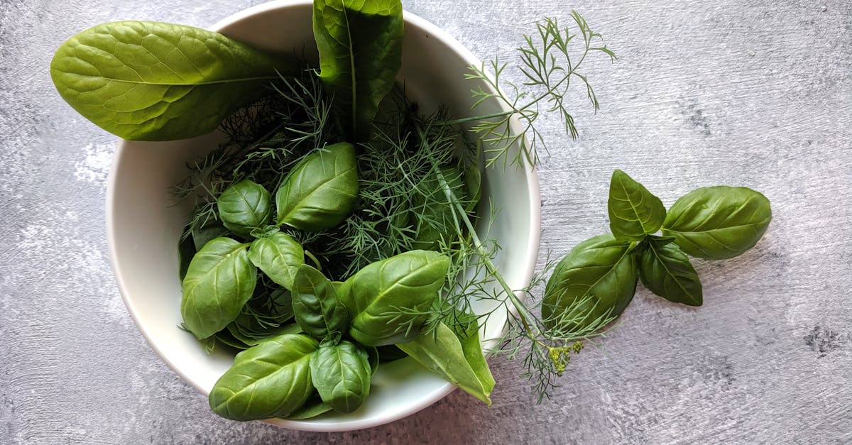 découvrez des idées d'apéritifs éco-responsables qui séduiront vos invités tout en respectant la planète. savourez des recettes délicieuses, saines et durables pour un apéritif engagé et gourmand.