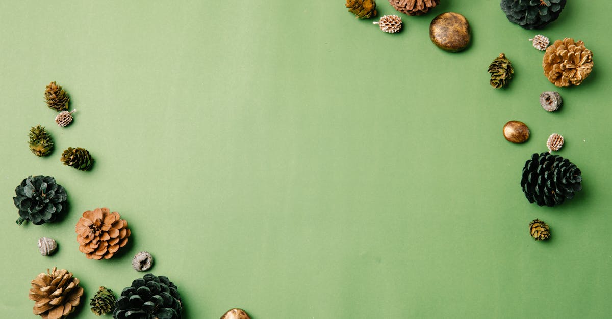 découvrez notre collection d'ornements de noël écologiques, alliant style et durabilité. embellissez votre sapin tout en préservant la planète avec des décorations fabriquées à partir de matériaux recyclés et respectueux de l'environnement.