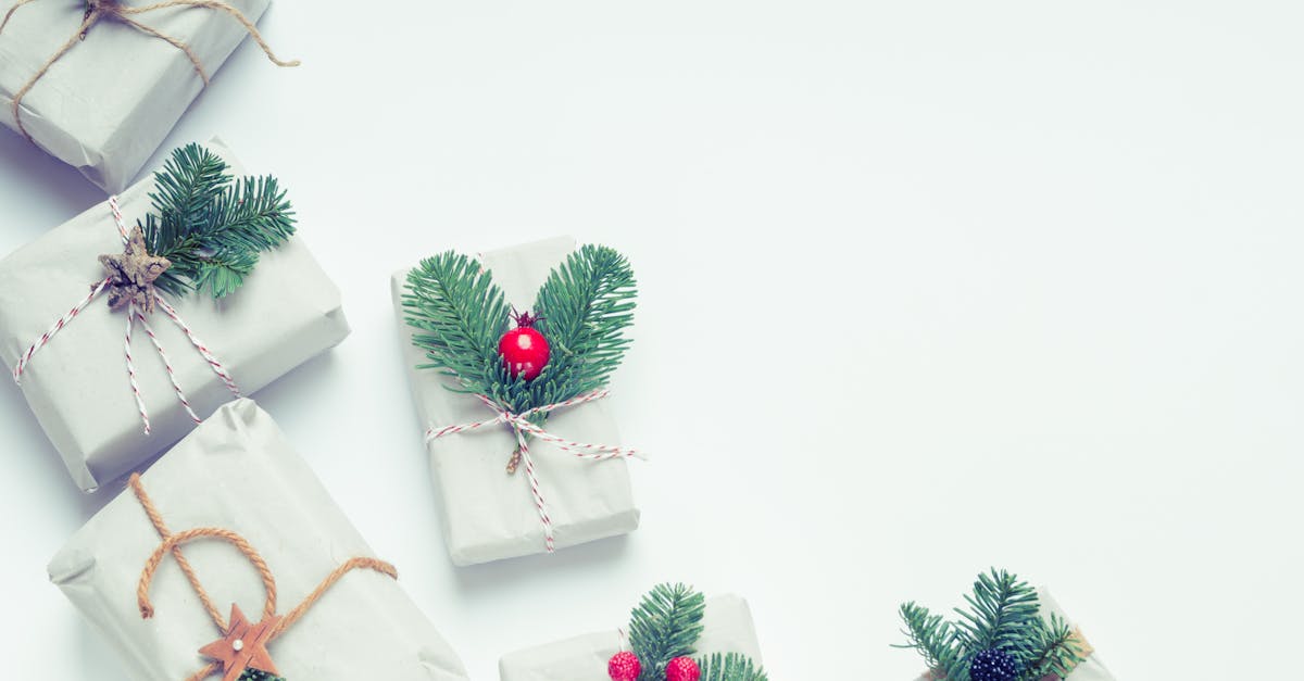 découvrez des ornements de noël écologiques qui apportent une touche festive tout en respectant l'environnement. alliez tradition et durabilité avec des décorations artisanales et respectueuses de la planète pour un noël éthique et chaleureux.