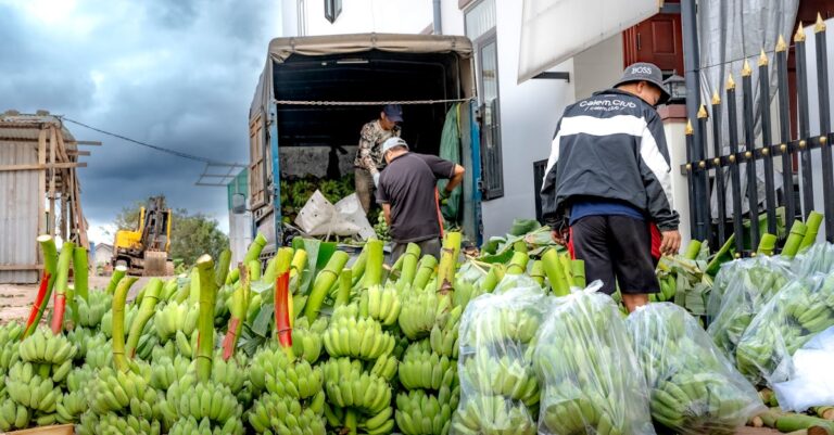 découvrez nos mouchoirs écologiques, une alternative durable et respectueuse de l'environnement pour réduire les déchets. fabriqués à partir de matériaux organiques et réutilisables, nos mouchoirs allient style et fonctionnalité tout en prenant soin de la planète.