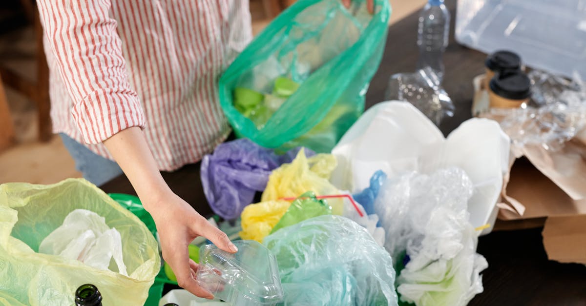 découvrez des pratiques écologiques efficaces pour réduire votre empreinte carbone et promouvoir un mode de vie durable. adoptez des gestes simples au quotidien qui préservent notre planète tout en améliorant votre qualité de vie.