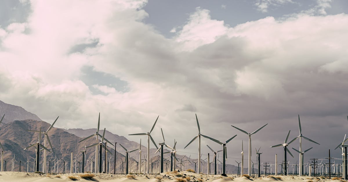 explorez les enjeux et les stratégies de la transition énergétique, un processus essentiel vers un avenir durable et écologique. découvrez comment les innovations, les énergies renouvelables et les politiques publiques transforment notre approche de l'énergie.