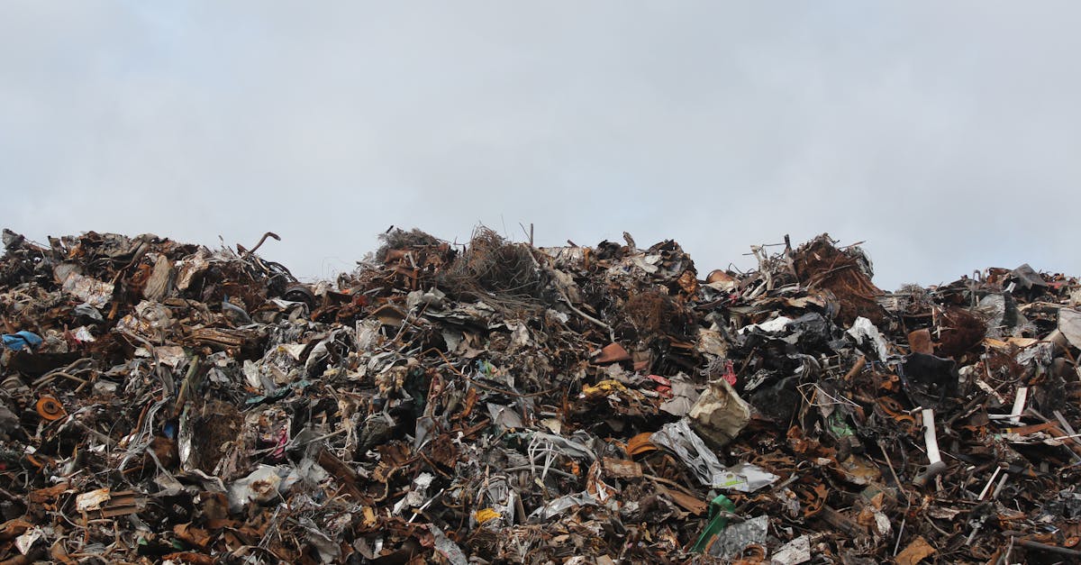 découvrez l'impact environnemental des activités humaines sur notre planète. analysez les conséquences de la pollution, du changement climatique et de la déforestation, et explorez des solutions durables pour préserver notre environnement.