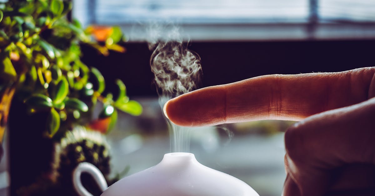 découvrez les bienfaits des huiles essentielles, des extraits naturels aux propriétés thérapeutiques variées, idéaux pour améliorer votre bien-être, purifiez votre espace de vie et renforcer votre santé au quotidien.
