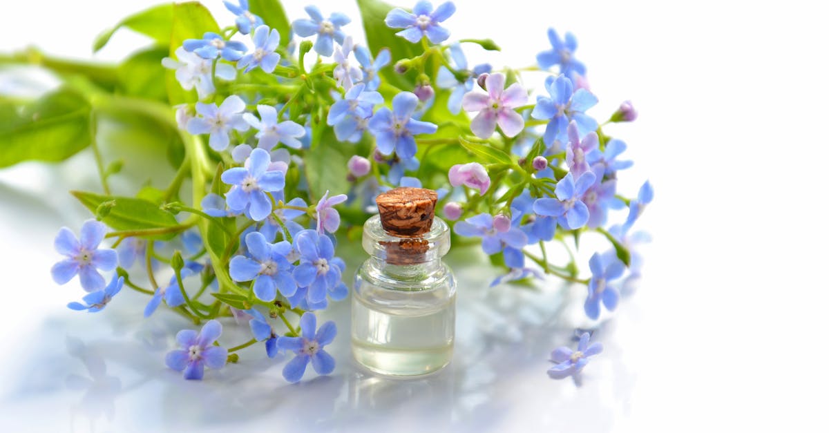 découvrez les bienfaits des huiles essentielles pour votre bien-être au quotidien. apprenez à les utiliser pour soulager le stress, améliorer votre santé et créer une ambiance apaisante dans votre maison.