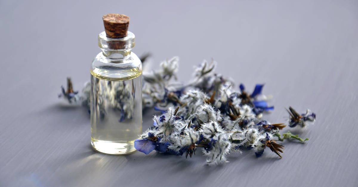 découvrez l'univers des huiles essentielles : leurs bienfaits, utilisations et propriétés aromatiques. transformez votre quotidien avec ces trésors naturels, idéaux pour le bien-être physique et mental.