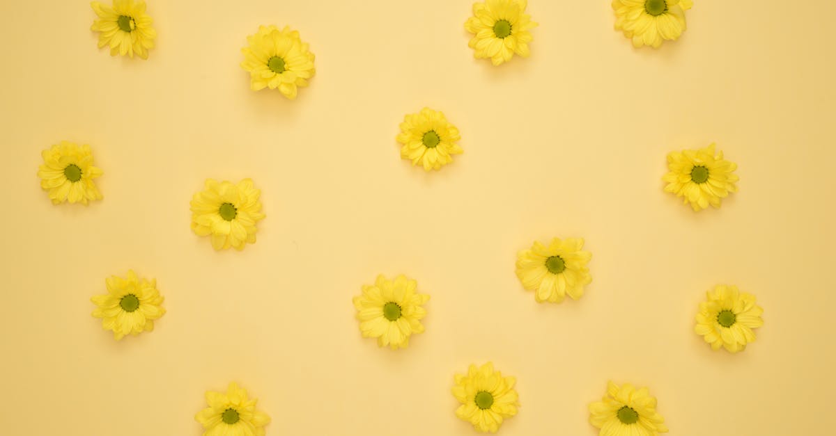 découvrez l'univers enchanteur des motifs floraux. plongez dans une collection magique de designs inspirés par la beauté des fleurs, parfaits pour embellir votre intérieur ou rehausser vos créations. laissez-vous séduire par la fraîcheur et la délicatesse de notre sélection florale.