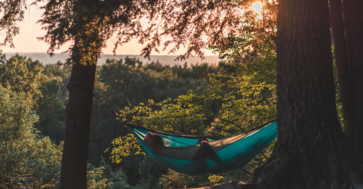 découvrez les bienfaits du 'bain de forêt', une pratique apaisante qui vous connecte à la nature. éveillez vos sens en vous immergeant dans les paysages boisés, respirez l'air pur et laissez le stress s'évanouir. apprenez comment cette expérience unique peut améliorer votre bien-être physique et mental.
