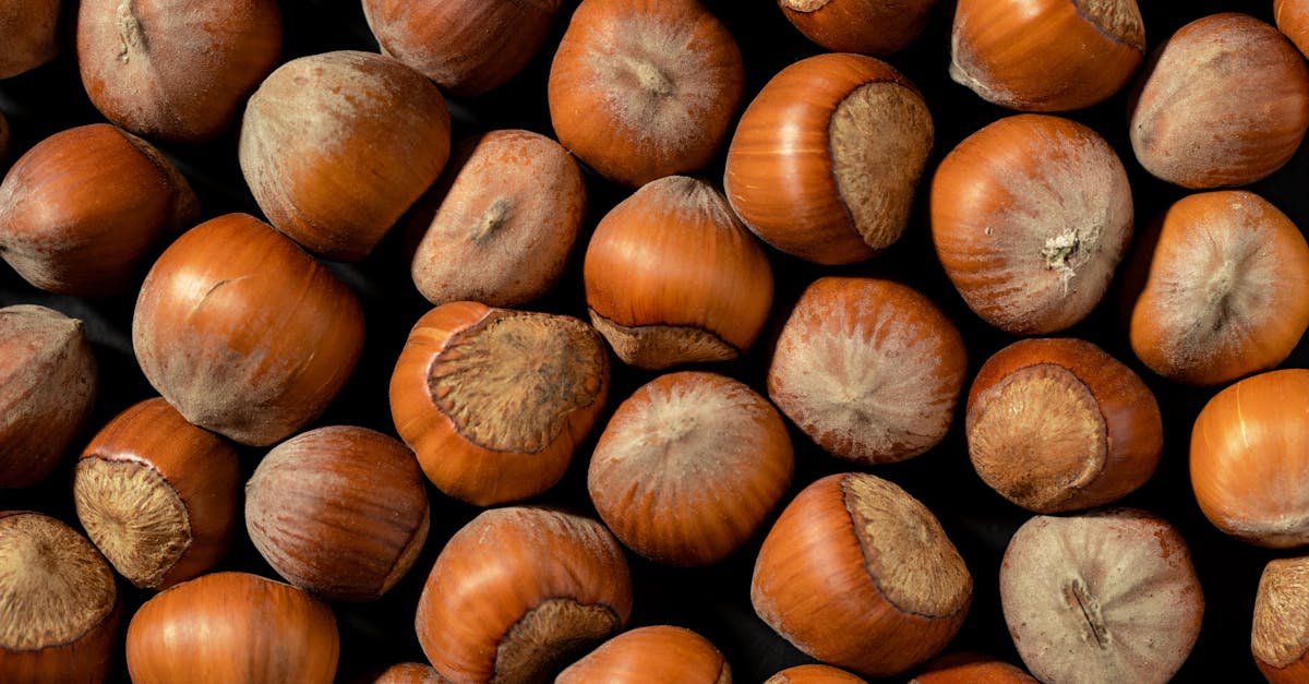 découvrez les bienfaits de la noisette, un fruit à coque savoureux et nutritif. apprenez à l'intégrer dans vos recettes, ses valeurs nutritionnelles et ses vertus pour la santé.