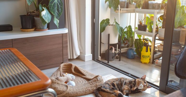 découvrez l'art du jardinage d'intérieur avec nos conseils pratiques et astuces ! transformez votre espace en un havre de verdure, même sans balcon. apprenez à choisir les bonnes plantes, à les entretenir et à créer un environnement propice à leur épanouissement. idéal pour les amateurs de nature en milieu urbain.