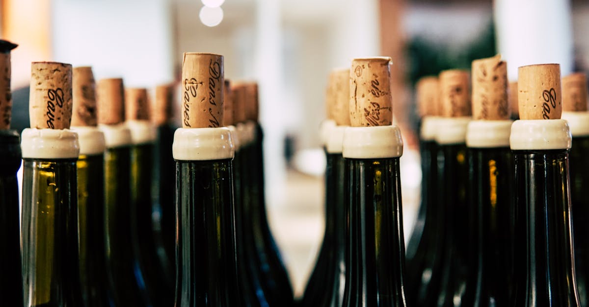 découvrez la lacto-fermentation, une méthode ancestrale de conservation des aliments qui permet d'enrichir vos plats en saveurs et en probiotiques. apprenez à réaliser vos propres préparations saines et délicieuses avec des légumes fermentés, tout en bénéficiant de leurs bienfaits pour la santé.