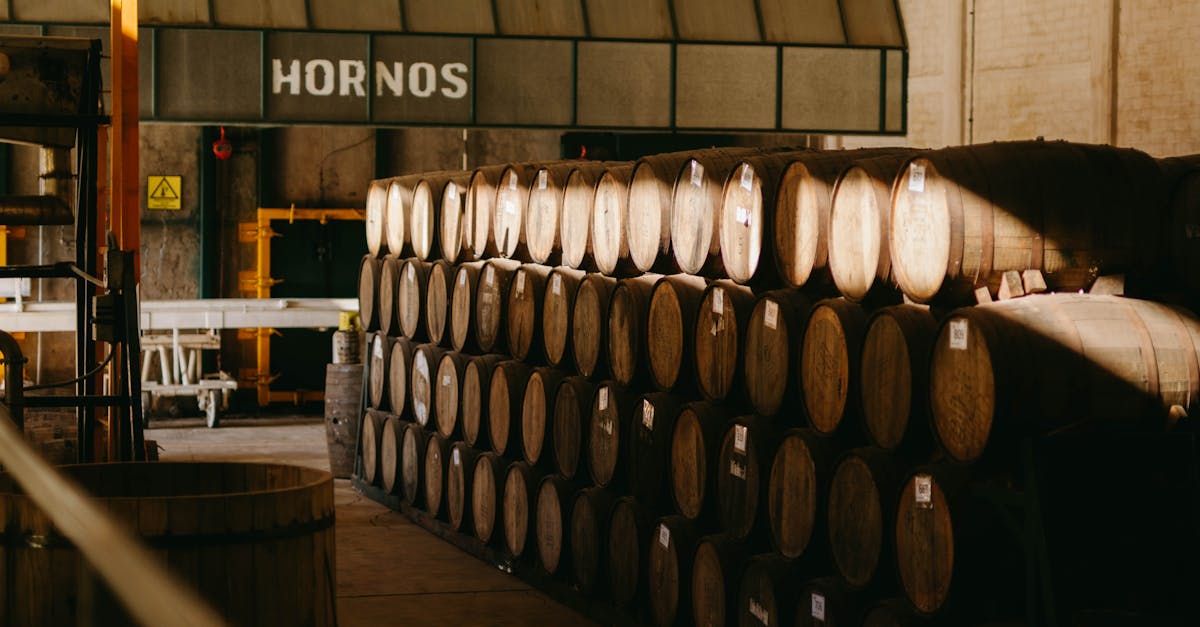 découvrez l'art de la lacto-fermentation, une méthode ancienne de conservation des aliments qui améliore leur saveur et leurs bienfaits nutritionnels. apprenez à fermenter fruits, légumes et autres ingrédients pour transformer vos plats en délices sains et savoureux.