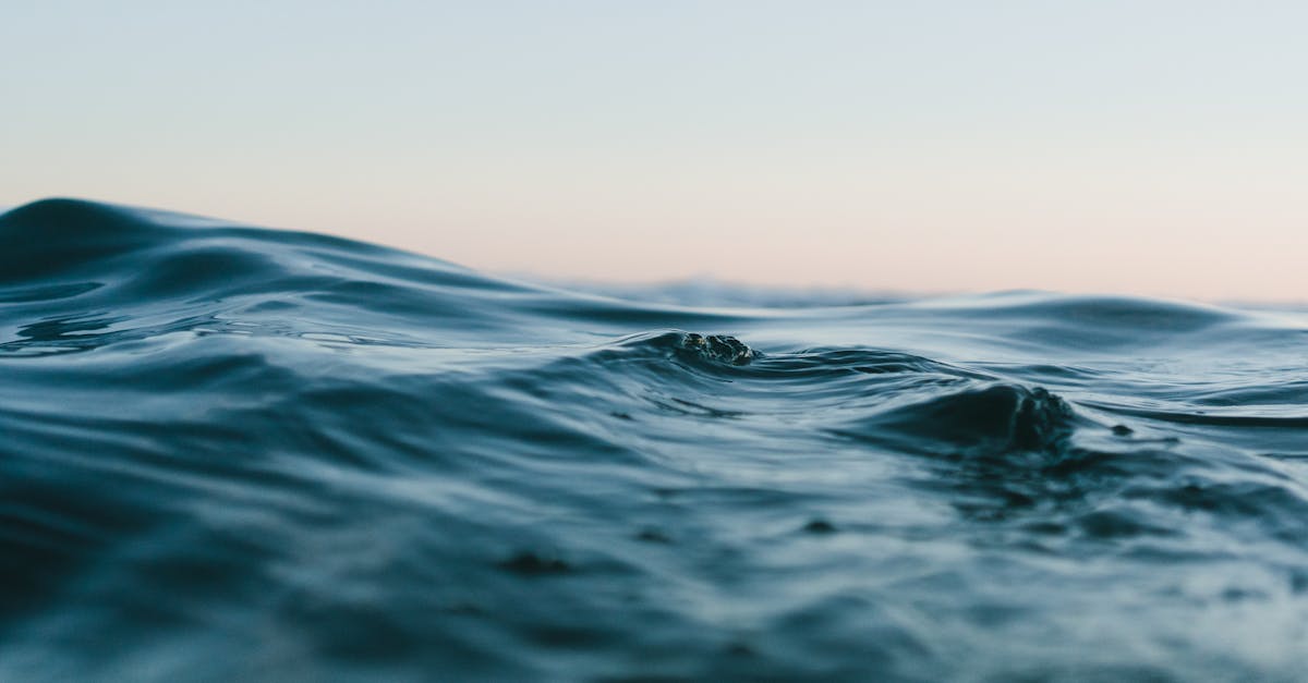 découvrez comment le liquid straining, ou filtration de liquides, améliore la texture et la clarté de vos préparations culinaires. apprenez les techniques, les outils nécessaires et les astuces pour réaliser des boissons et sauces impeccables.