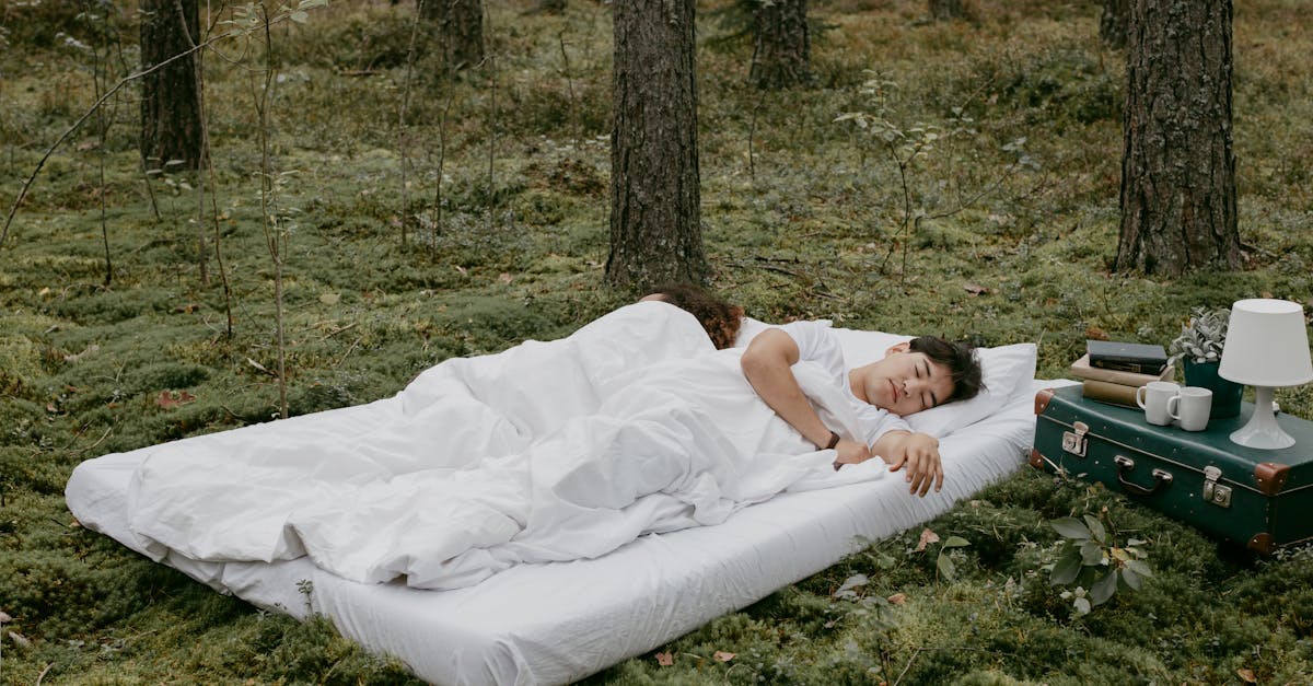 découvrez nos services de désinfection de matelas pour garantir un sommeil sain et reposant. éliminez les bactéries, les acariens et les allergènes de votre literie grâce à notre traitement professionnel et efficace. protégez votre santé et améliorez la qualité de votre sommeil dès aujourd'hui!