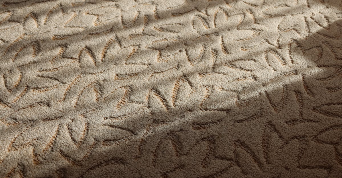 découvrez notre service de désinfection de matelas, assurant un environnement sain et reposant. éliminez les allergènes, les bactéries et les acariens pour un sommeil de qualité.