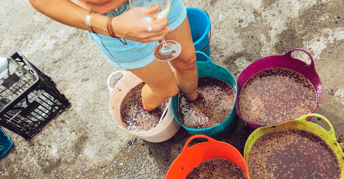 découvrez les bienfaits de la fermentation naturelle pour améliorer votre santé et votre alimentation. apprenez comment utiliser des ingrédients simples pour créer des probiotiques savoureux et nutritifs dans le confort de votre cuisine.