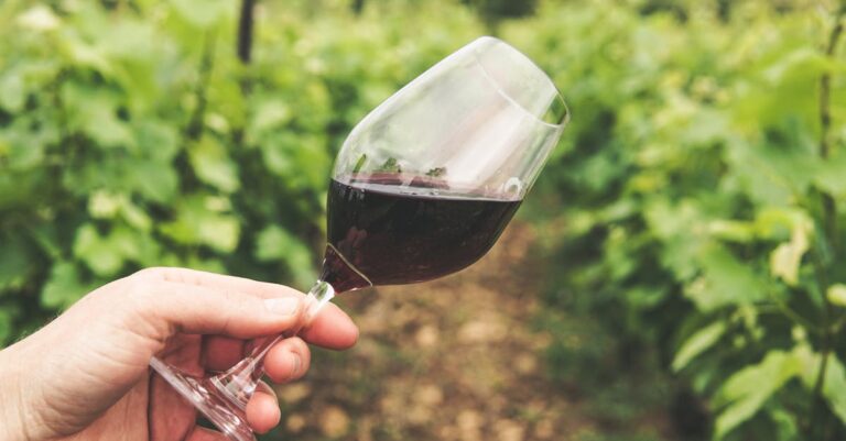 découvrez les bienfaits de la fermentation naturelle, un processus ancestral qui enrichit les aliments de saveurs uniques et de probiotiques bénéfiques pour votre santé. apprenez à maitriser cette technique pour améliorer vos plats et favoriser votre bien-être.