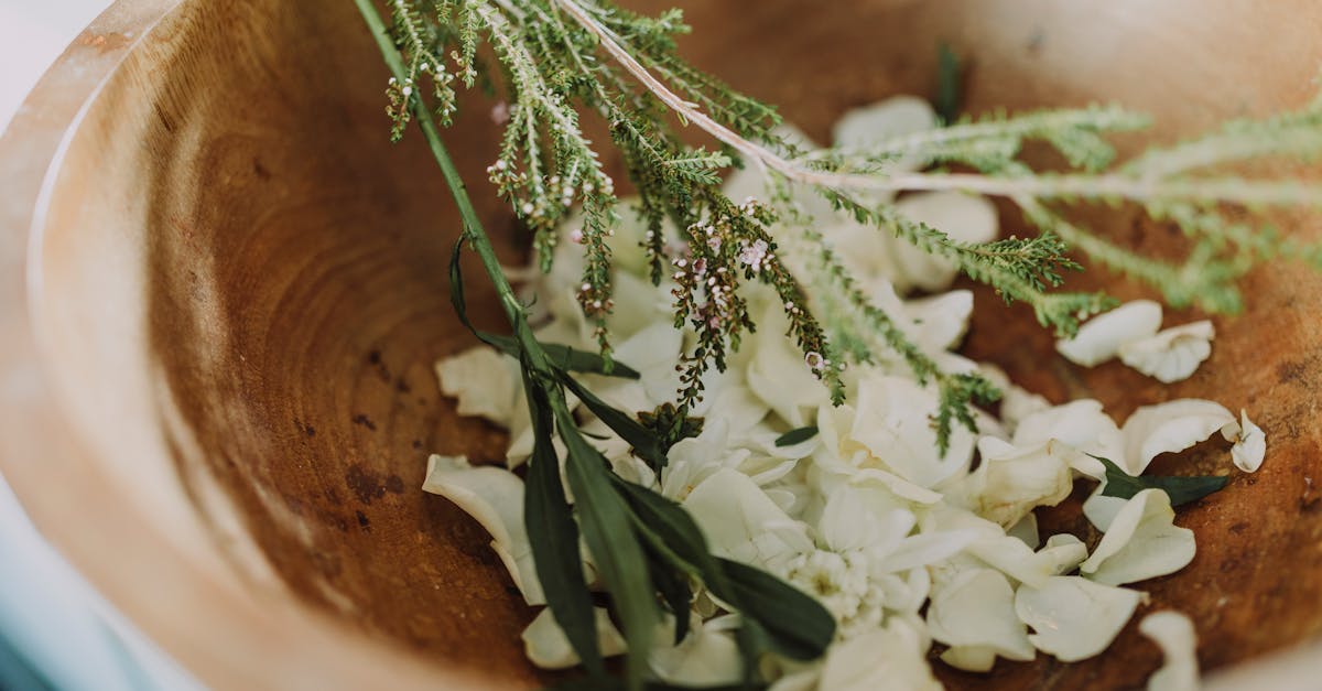 découvrez notre démaquillant naturel qui élimine en douceur tous les résidus de maquillage tout en nourrissant votre peau. parfait pour tous les types de peau, il laisse votre teint frais et éclatant sans produits chimiques agressifs.