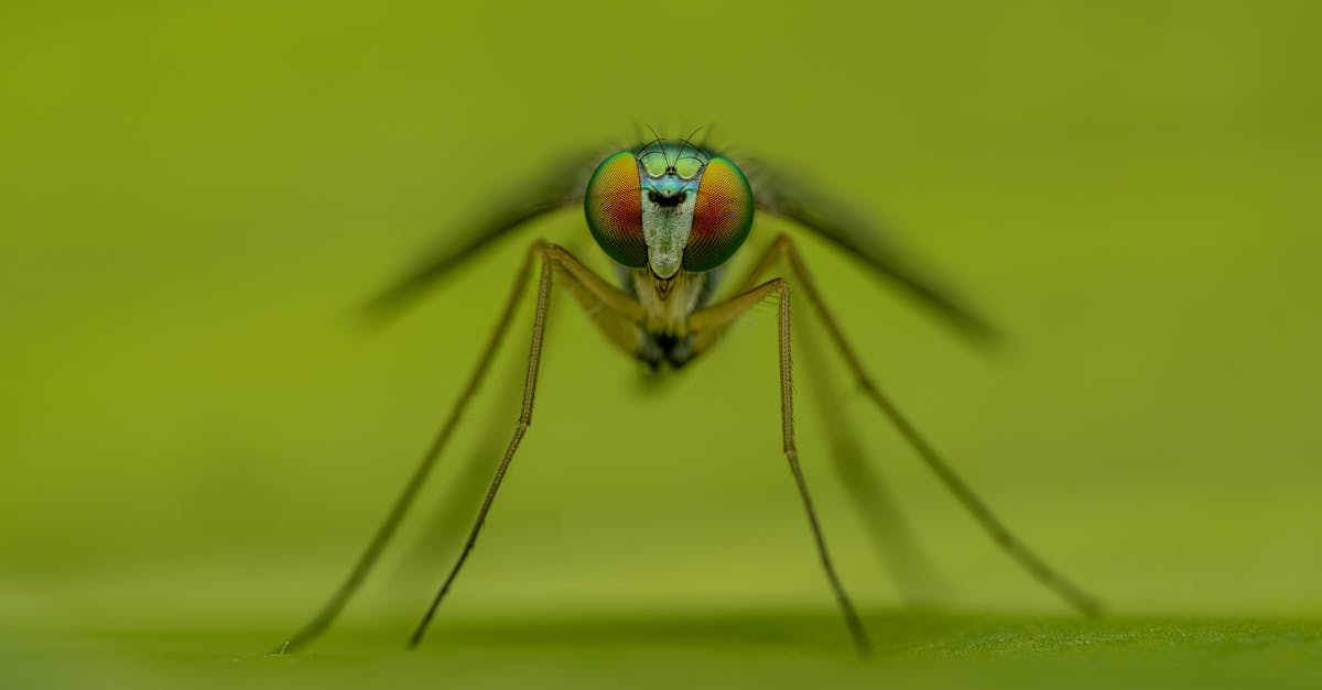 découvrez notre répulsif naturel contre les moustiques, composé d'ingrédients écologiques et efficaces pour vous protéger des piqûres tout en respectant votre peau et l'environnement.