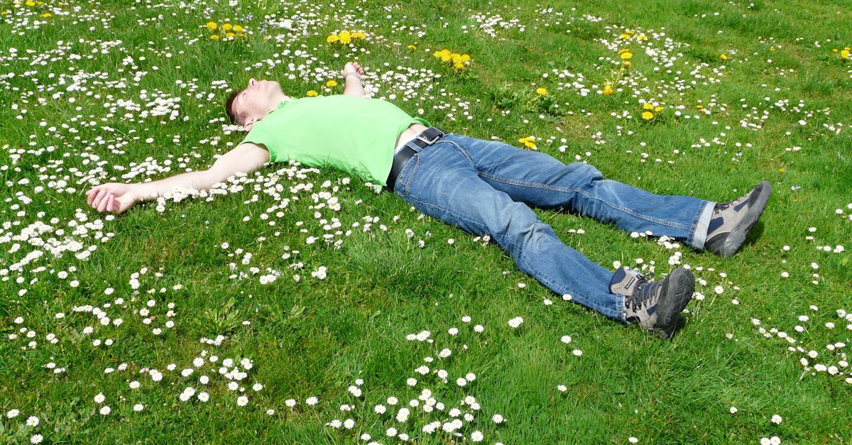 découvrez des remèdes naturels pour améliorer votre sommeil. apprenez des astuces et des techniques simples pour favoriser un sommeil réparateur et retrouver une meilleure qualité de vie.