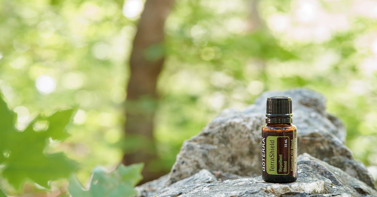 découvrez notre répulsif naturel contre les tiques, une solution efficace et sans produits chimiques pour protéger votre famille et vos animaux des piqûres. profitez de moments en plein air en toute sérénité !