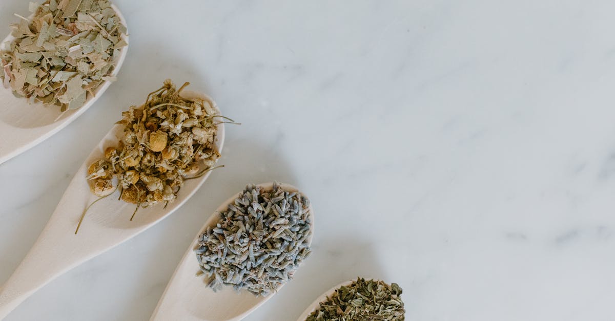 découvrez des traitements naturels efficaces pour améliorer votre bien-être au quotidien. explorez des remèdes à base de plantes, des méthodes holistiques et des soins doux qui respectent votre corps et votre santé.