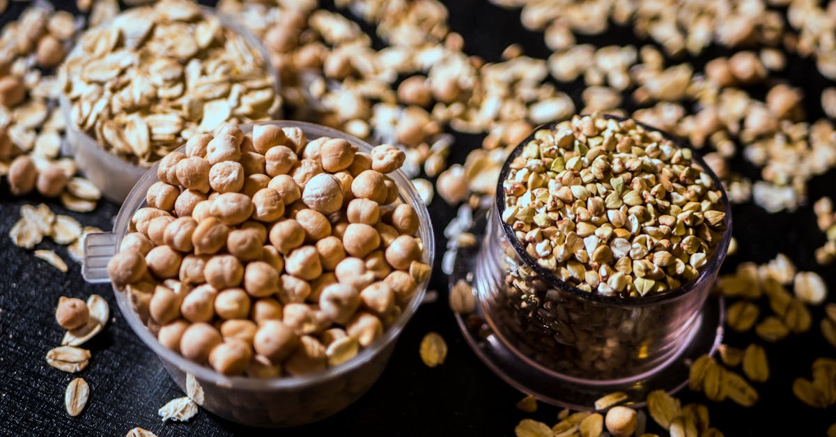 découvrez tout sur l'avoine : ses bienfaits nutritionnels, ses recettes délicieuses et comment l'intégrer facilement dans votre alimentation quotidienne pour une santé optimale.