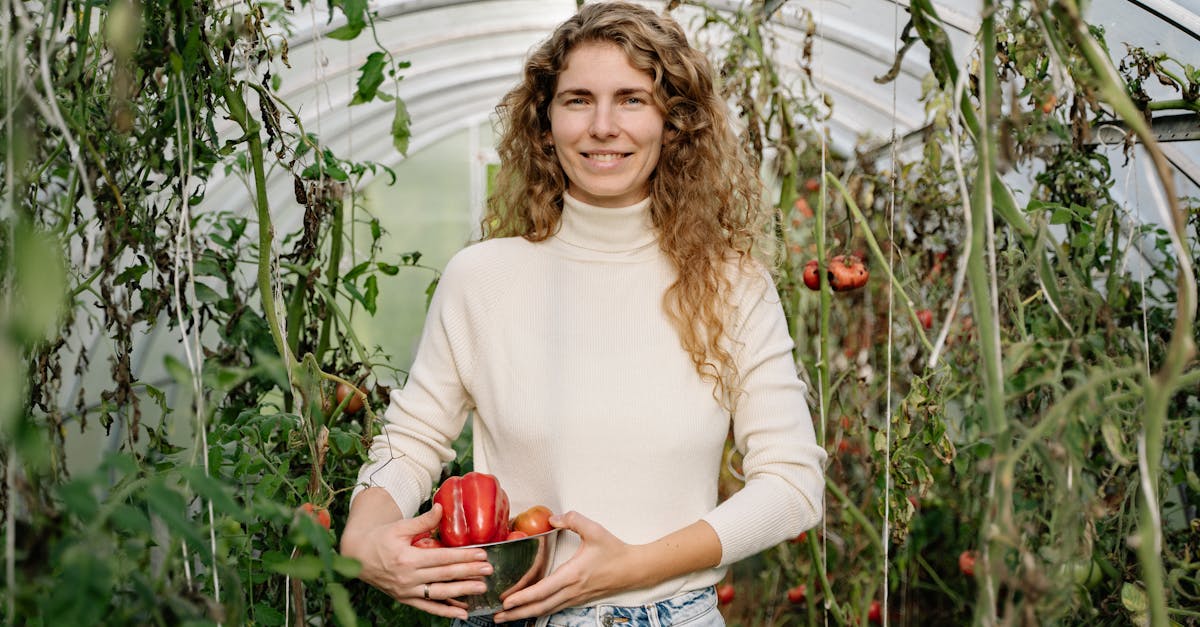 découvrez les principes de la permaculture, une approche durable et écoresponsable pour cultiver la terre en harmonie avec la nature. apprenez à concevoir des écosystèmes agricoles auto-suffisants, favorisant la biodiversité et la résilience, tout en produisant des aliments sains et nutritifs.