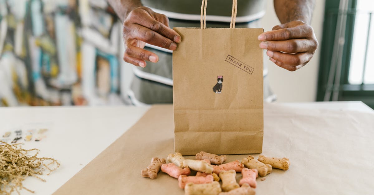découvrez notre sélection de nourriture pour animaux de compagnie, offrant des options saines et délicieuses pour chiens et chats. offrez à vos compagnons le meilleur de la nutrition avec des ingrédients de qualité supérieure.