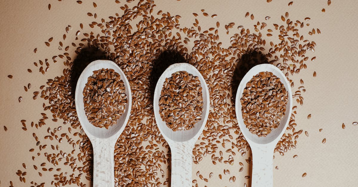 découvrez nos barres de céréales crues, délicieuses et nutritives, idéales pour un encas sain et énergisant. fabriquées à partir d'ingrédients 100% naturels, elles sont parfaites pour les amateurs de bien-être et de gourmandise.