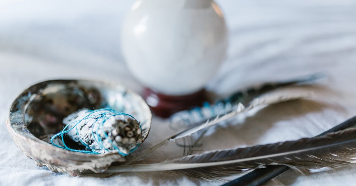 découvrez l'art du smudging, une pratique ancestrale de purification et de protection par la fumée, idéale pour harmoniser votre espace et favoriser le bien-être spirituel.
