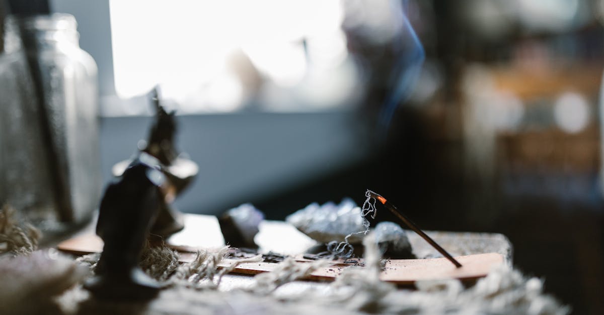 découvrez l'art du smudging, une pratique ancestrale qui consiste à purifier l'énergie d'un espace à l'aide de plantes sacrées. apprenez les différentes techniques, les bienfaits et les rituels associés pour harmoniser votre environnement et favoriser le bien-être.
