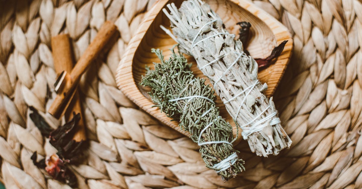 découvrez l'art du smudging, une pratique spirituelle ancestrale qui utilise la fumée d'herbes pour purifier les lieux et élever l'énergie. apprenez à créer des mélanges personnalisés pour favoriser la paix intérieure et l'harmonie dans votre vie quotidienne.