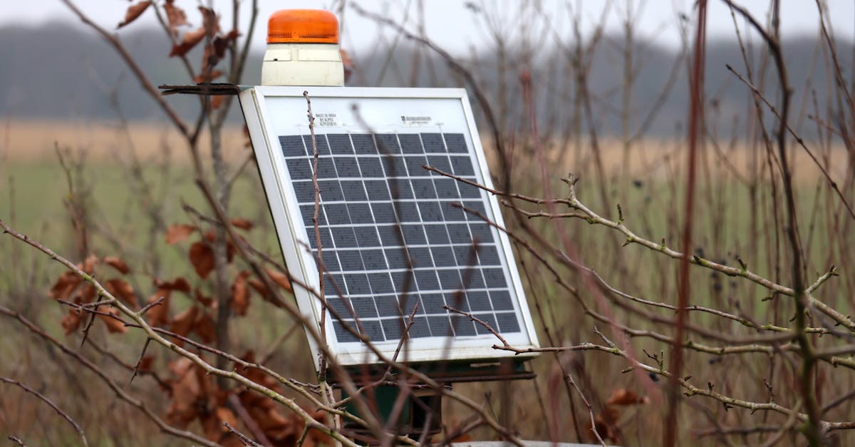 découvrez le four solaire, une solution écologique pour cuisiner sans électricité. profitez de la chaleur du soleil pour préparer des plats savoureux tout en respectant l'environnement. idéal pour les sorties en plein air et les situations d'urgence.
