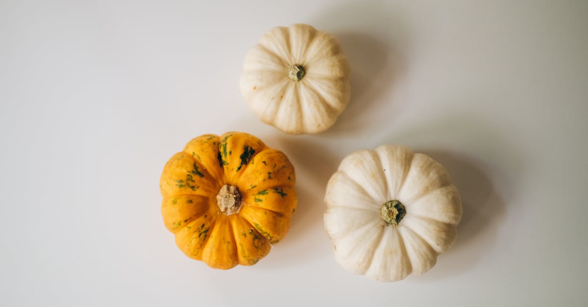 découvrez notre délicieuse recette de petites citrouilles farcies. parfaites pour les apéritifs d'halloween, ces mini citrouilles sont garnies d'un mélange savoureux qui ravira vos invités. faciles à réaliser et pleines de saveurs, elles ajouteront une touche festive à votre table.