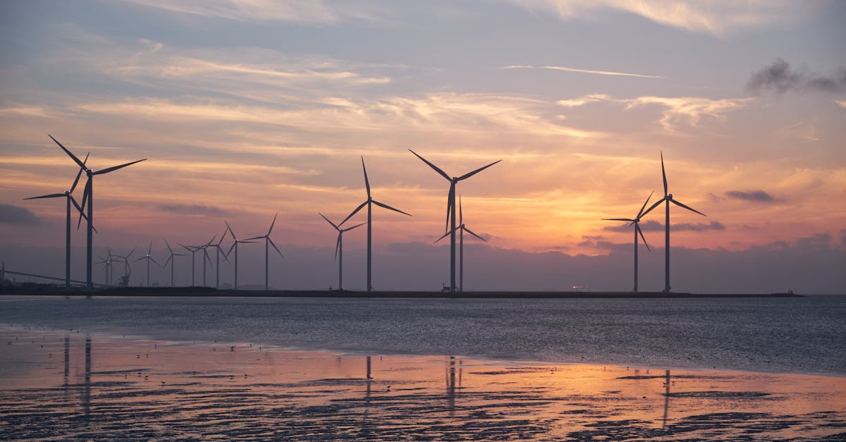 découvrez notre guide sur le développement durable, explorant des pratiques et solutions innovantes pour un mode de vie respectueux de l'environnement et durable.