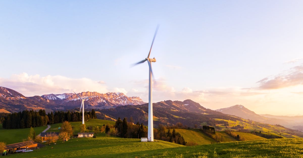 découvrez des stratégies durables pour un avenir meilleur. adoptez des pratiques respectueuses de l'environnement et apprenez comment contribuer à la protection de notre planète tout en maintenant un mode de vie éthique et responsable.