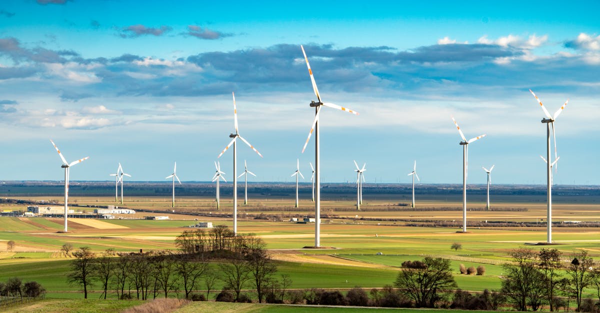 découvrez des alternatives durables pour un mode de vie éco-responsable. explorez des solutions innovantes qui respectent l'environnement, favorisent le recyclage et contribuent à la préservation de notre planète tout en répondant à vos besoins quotidiens.