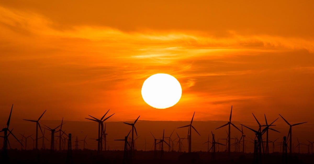 découvrez des alternatives durables pour un mode de vie éco-responsable. explorez des produits et pratiques respectueux de l'environnement qui réduisent votre empreinte carbone tout en préservant la planète pour les générations futures.