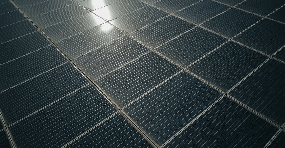 découvrez des alternatives durables pour un mode de vie éco-responsable. explorez les solutions respectueuses de l'environnement qui contribuent à la conservation des ressources naturelles tout en répondant à vos besoins quotidiens.