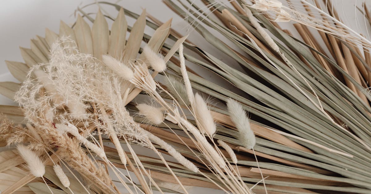 découvrez des idées de décoration durable alliant esthétisme et respect de l'environnement. transformez votre intérieur avec des choix écoresponsables tout en créant une atmosphère chaleureuse et moderne.
