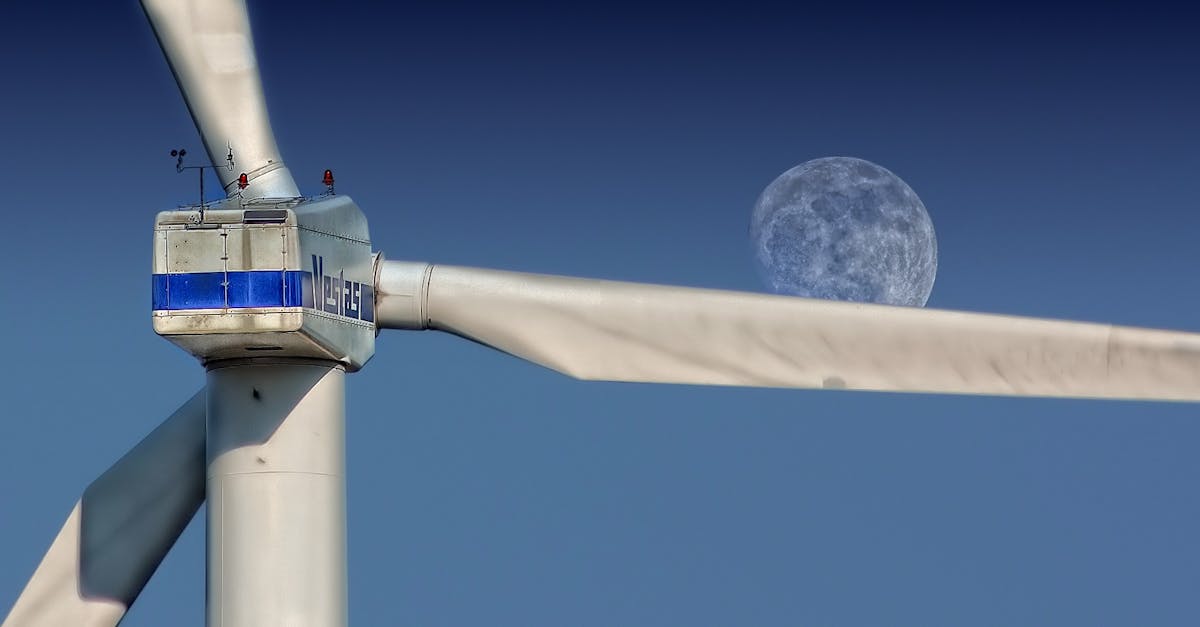 découvrez comment contribuer à un avenir durable grâce à des pratiques écologiques, des innovations vertes et des choix responsables. engageons-nous ensemble pour préserver notre planète pour les générations futures.