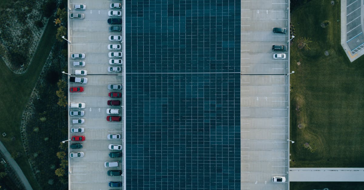 découvrez comment construire un avenir durable grâce à des pratiques respectueuses de l'environnement, des innovations écologiques et des initiatives communautaires. engagez-vous pour un monde meilleur.