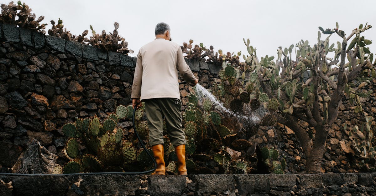 découvrez les principes du jardinage durable, une approche écologique qui préserve notre environnement tout en cultivant des plantes saines. obtenez des conseils pratiques et des astuces pour créer un jardin respectueux de la biodiversité et économiser les ressources.