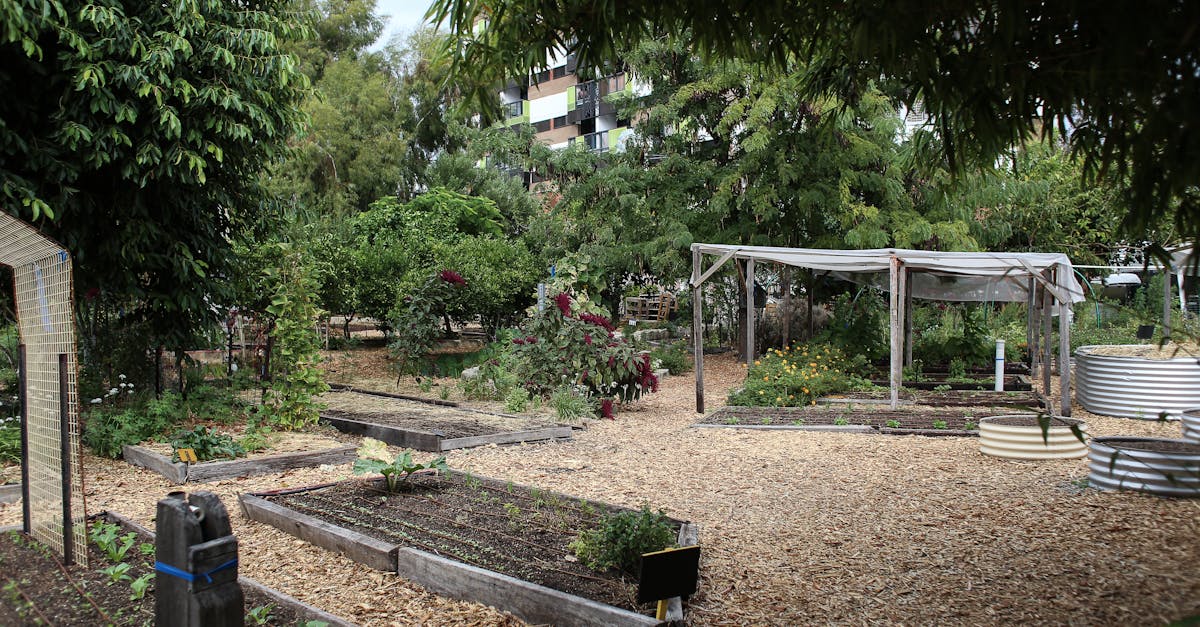 découvrez les secrets du jardinage durable et apprenez à cultiver votre espace extérieur tout en respectant l'environnement. adoptez des pratiques écologiques pour créer un jardin florissant et responsable.