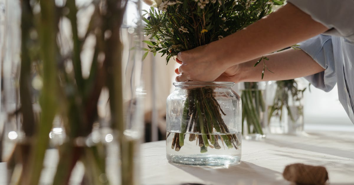 découvrez des astuces pratiques et inspirantes pour adopter un mode de vie durable. apprenez à réduire votre empreinte écologique, à consommer de manière responsable et à faire des choix éclairés pour un avenir plus vert.